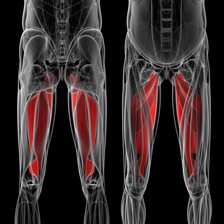 Groin Strain Motus Physical Therapy