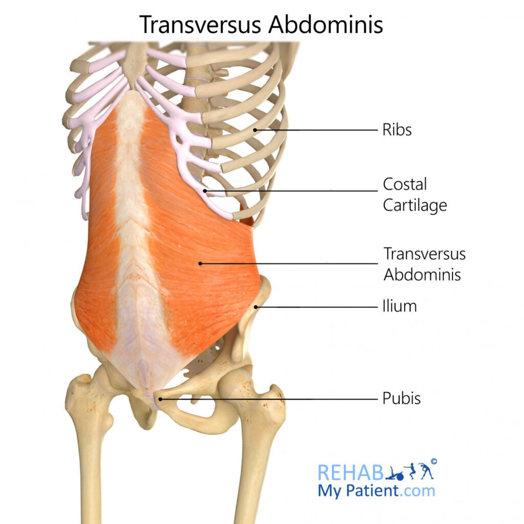 Do I have a wide rib cage? If so, is there any workouts to make my