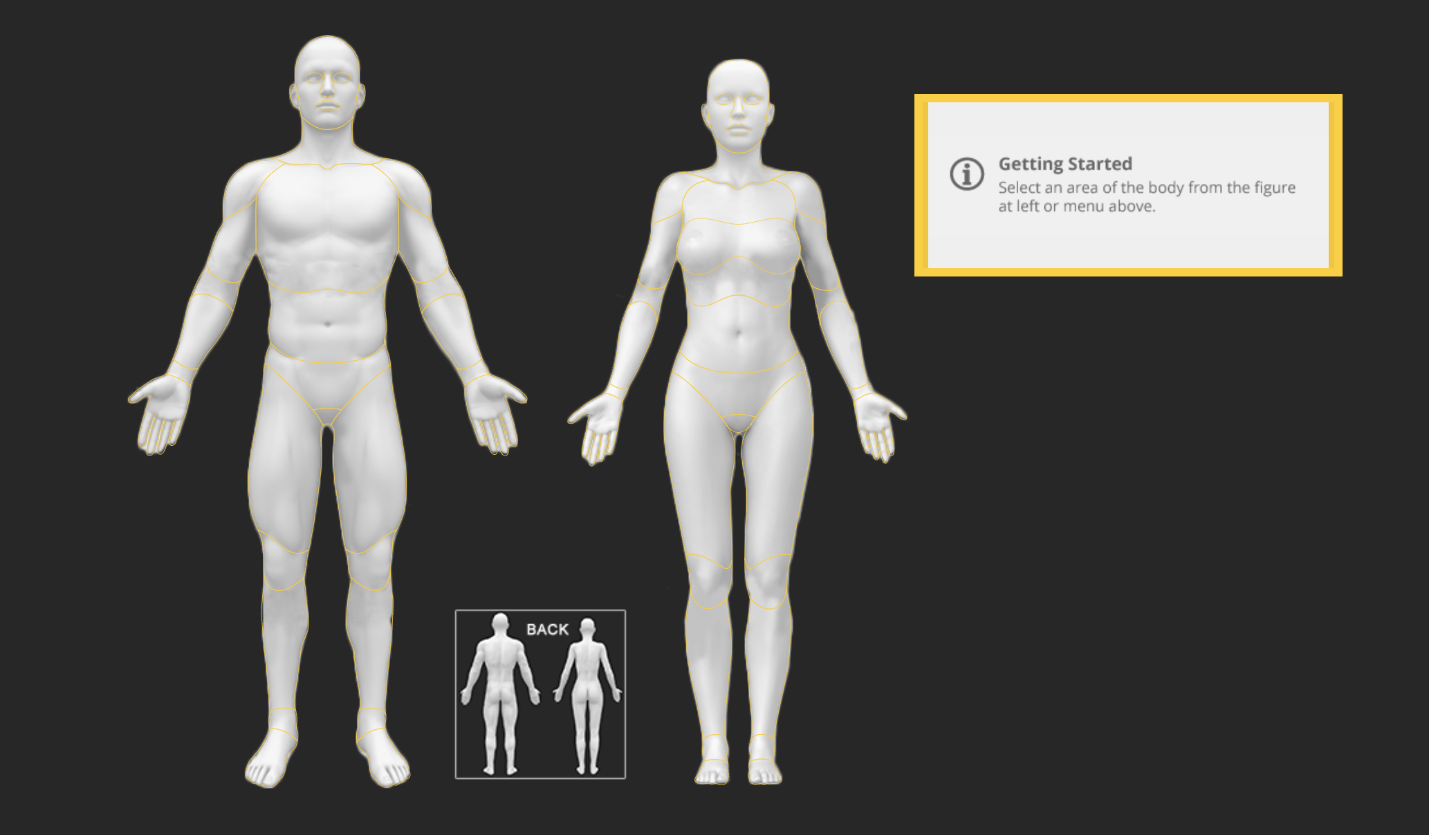 Understand your pain by clicking on the area to reveal potential causes and get a handle on your diagnosis.