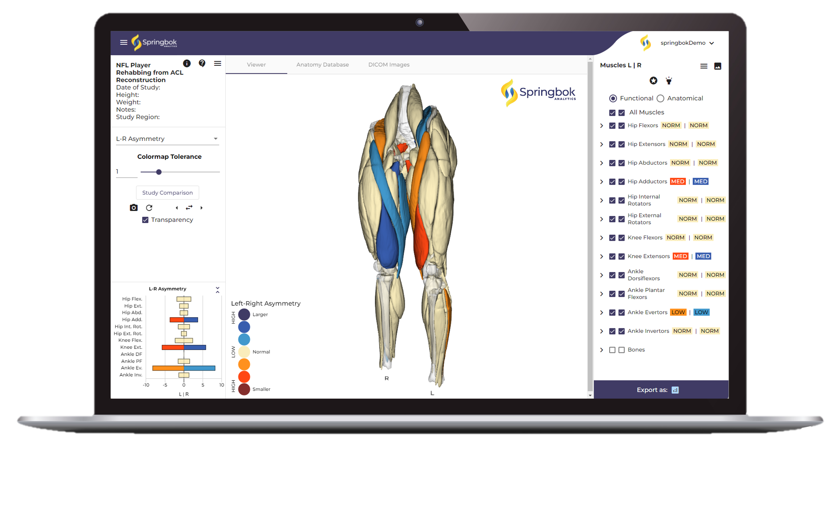 NMEs Technology - MOTUS Physical Therapy
